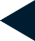 select-icon