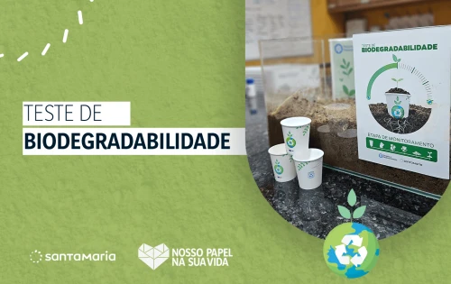 Imagem do resultado Inovação sustentável