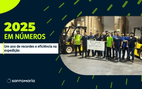 Imagem do resultado 2025 em números: um ano de recordes e eficiência na expedição